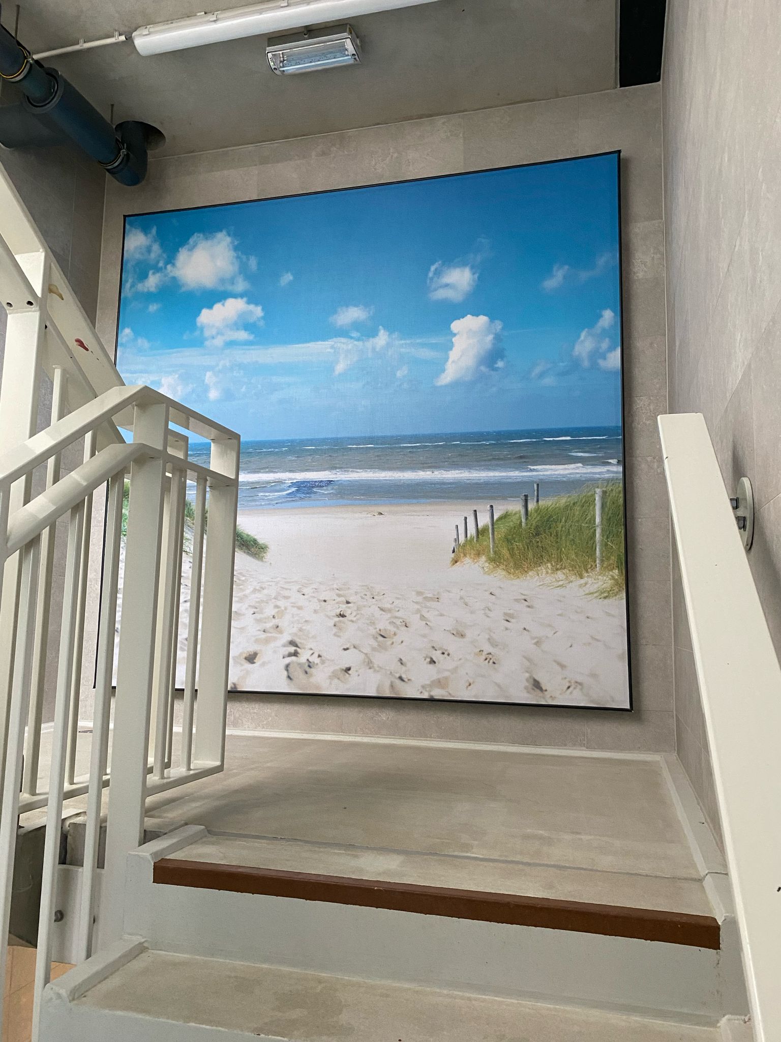 Acoustiwall verbetert akoestiek in zwembad De Watergeus met maatwerkoplossing